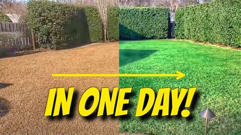 How to Paint your grass GREEN - YouTube