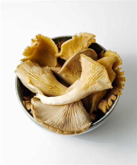 Product | Oyster Mushrooms | Yababa