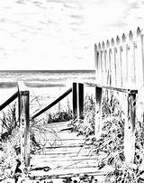 Coloring page  Beach boardwalk Digital Download Adult coloring sketch template