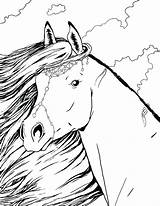 Realistic Horse Coloring Pages For Adults sketch template