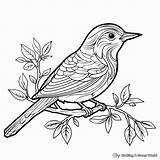 Amate Bark Painting Coloring Pages  Free & Printable sketch template