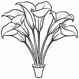 Calla Lily Flower Bouquet Outline Illustration coloring Book Page  sketch template