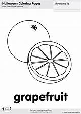 Grapefruit Coloring Page Pages sketch template