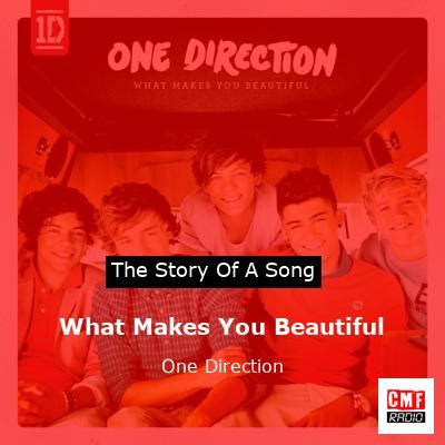 The story of the song What Makes You Beautiful - One Direction