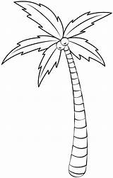 Free Printable Palm Tree Coloring Pages  Sheet sketch template