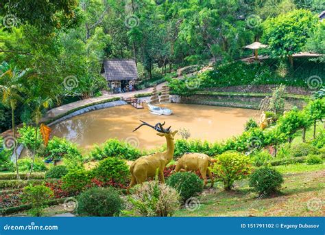 Yellow Water Pond in a Tropical Park with Artificial Animals Stock Photo - Image of transparent ...