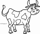 Images Free For Cow Face Coloring Page  Wecoloringpagecom sketch template
