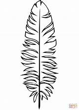Peacock Feather Coloring Page sketch template