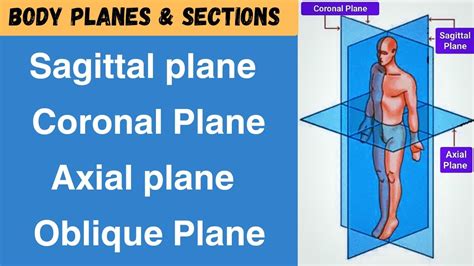 Oblique Planes Of The Body