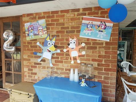 Bluey themed party ideas | Party themes, Twin birthday parties, Themed party supplies