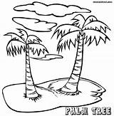 Date Palm Tree Coloring Pages sketch template