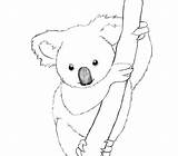 Kawaii Koala Coloring Pages sketch template