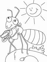 Ant Coloring Pages For Preschoolers sketch template