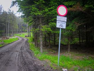 Zakaz ruchu pojazdów w lesie | Ciekawy przykład znaku drogow… | Flickr