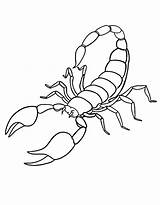 Scorpion Coloring Pages Free Printable PDF sketch template