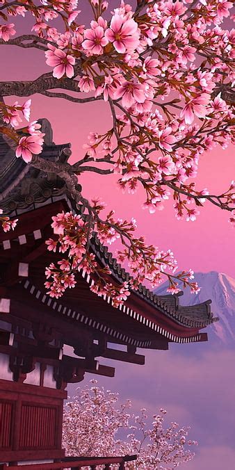 HD sakura wallpapers | Peakpx