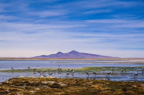 10 Things to Know Before Going to San Pedro de Atacama - Wandering Sunsets