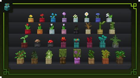 Colourful Pots - Gallery