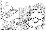 Sea Slug And Types Of Animals Coloring Page  Free Printable sketch template