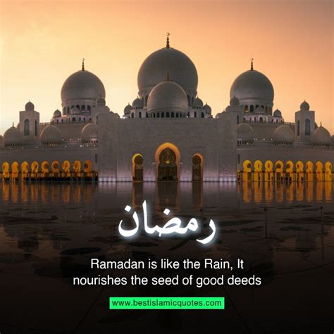 200+ Ramadan Quotes with Images to Welcome Ramadan Mubarak