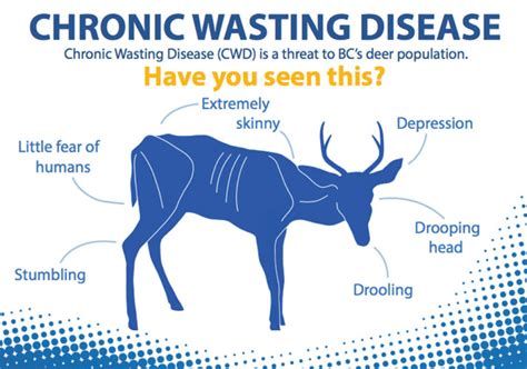 Humans may be susceptible to CWD infection | The Western Producer