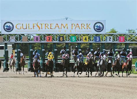 Gulfstream: How to bet the mandatory-payout $53,613 Pick 6 | TwinSpires