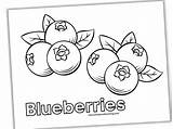 Blueberry Coloring Pages Free Printable PDFs  WakeTheKids 5687196 sketch template