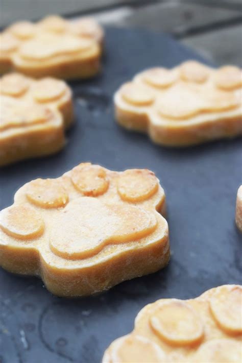 Peanut Butter - Coconut Oil Dog Treats - Healthy - Homemade Dog Treats | Coconut peanut butter ...