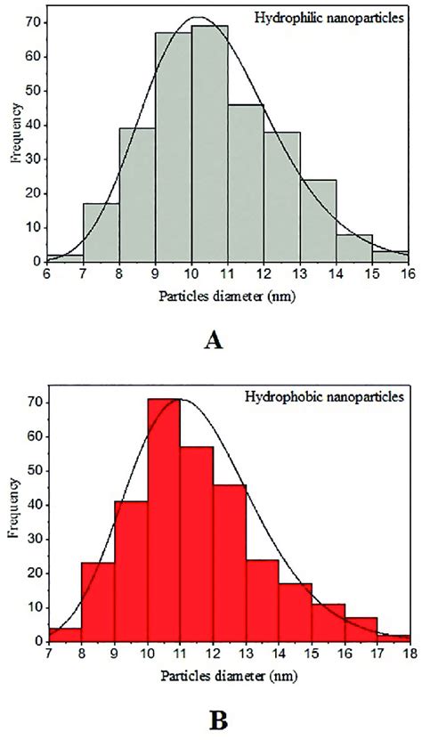 Size distribution histogram of the hydrophilic nanoparticles (A) and ...