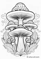Mushroom Mandala Coloring Page » Free Download Artus Art sketch template