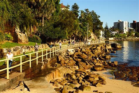 Manly Beach to Shelly Beach walk