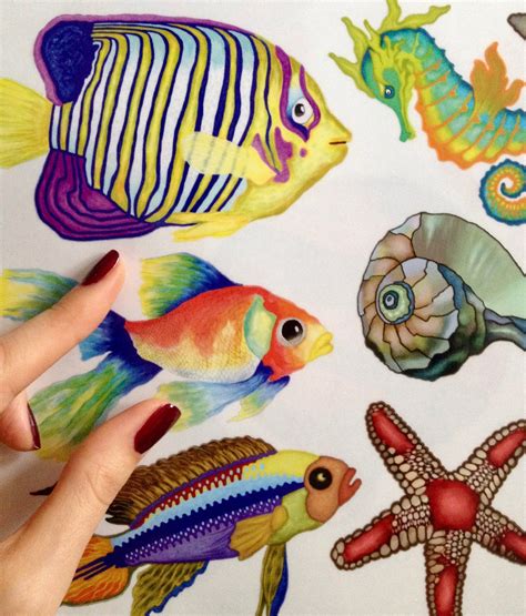 Tropical Fish Decals 10 Wall Decals Fish Home Décor - Etsy