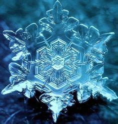 Dr. Emoto's water crystal - the word & feelings of love. Science And ...