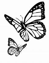 Butterfly Coloring Pages sketch template