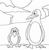 African Penguin Coloring Page Pages sketch template