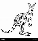 Coloring Book coloring Page animal kangaroo Pattern Vector Stock  sketch template