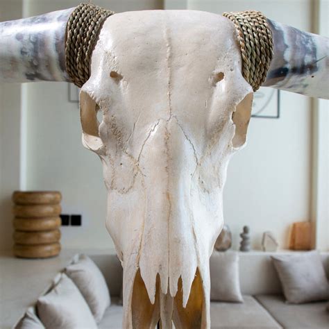 Longhorn Skulls for Sale | Longhorn Cow Skull Decor | Skull Bliss