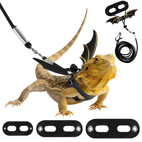 Buy Pawaboo Adjustable Bearded Dragon Harness and Leash, 3 Size Leather Reptile Leash Outdoor ...