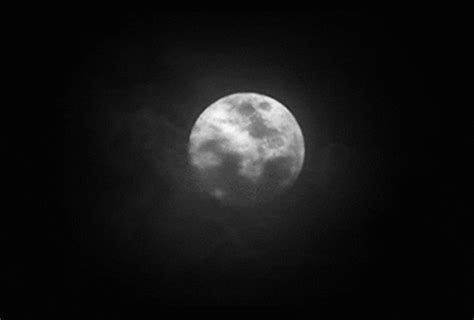 Night Moon GIF - Find & Share on GIPHY