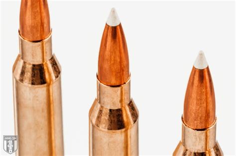 338 Win Mag vs 338 Lapua: Caliber Comparison by Ammo.com