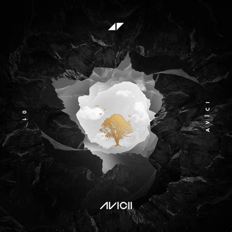 AVĪCI (01), Avicii - Qobuz