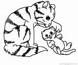 Kitten coloring pages To Download And Print For Free sketch template