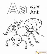 Ant Coloring Pages For Preschoolers sketch template