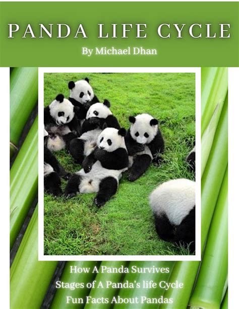 Panda Life Cycle by Michael D. by shapiron@nvnet.org - Issuu