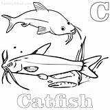 Catfish Coloring Pages Printable Free PDF  Coloringfoldercom sketch template