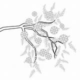 Coloring Branch with Flowers For Adults Hand Drawn Artistically Ethnic  sketch template