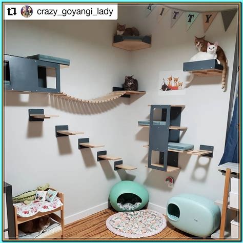 Cool Ideas For Cat Themed Room Design – ZYHOMY