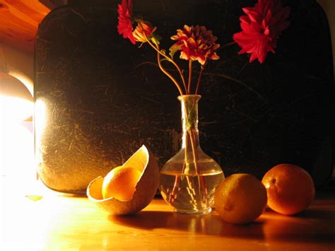 Still Life Photography Tips | HubPages