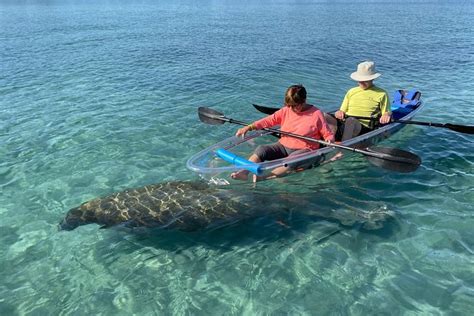 Jupiter Clear Kayak Tour 2024 - West Palm Beach