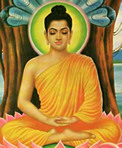 Self Purification, Dhammapada